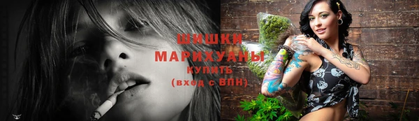 шишки Богданович
