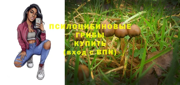 шишки Богданович
