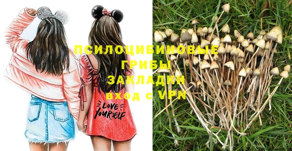 мяу мяу мука Беломорск
