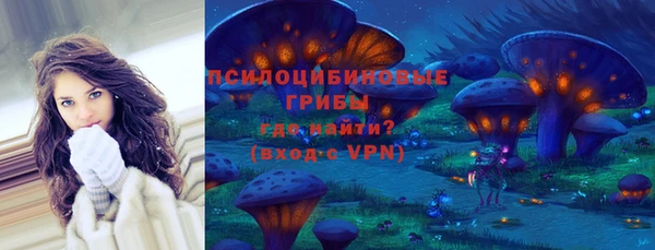 ГАЛЛЮЦИНОГЕННЫЕ ГРИБЫ Богородицк