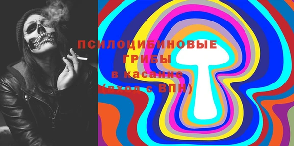 тгк Белокуриха