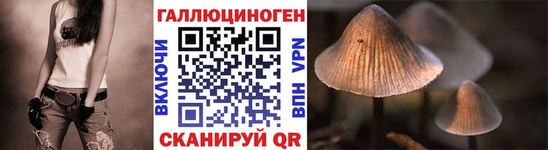 Псилоцибиновые грибы Psilocybine cubensis  мега как войти  Томари 